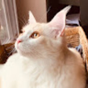 Meet your Posher, Jim